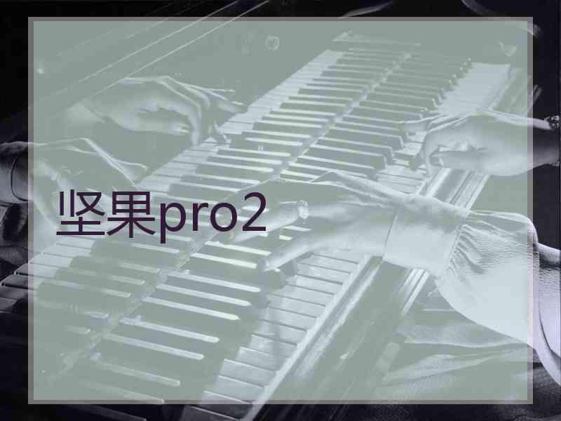坚果pro2