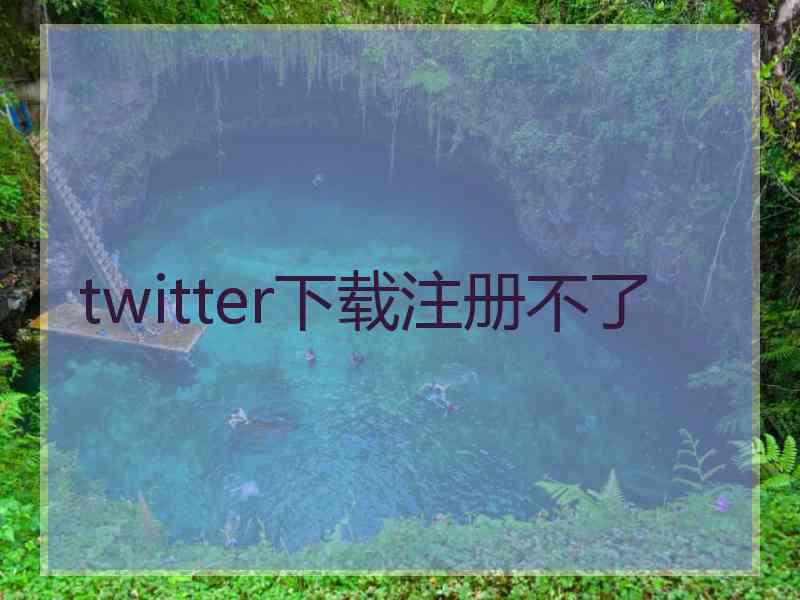 twitter下载注册不了