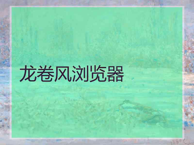 龙卷风浏览器