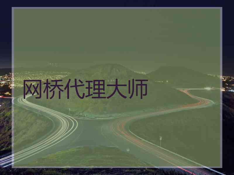 网桥代理大师