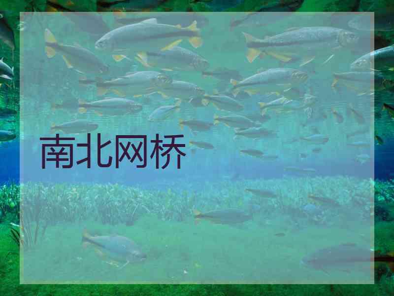 南北网桥