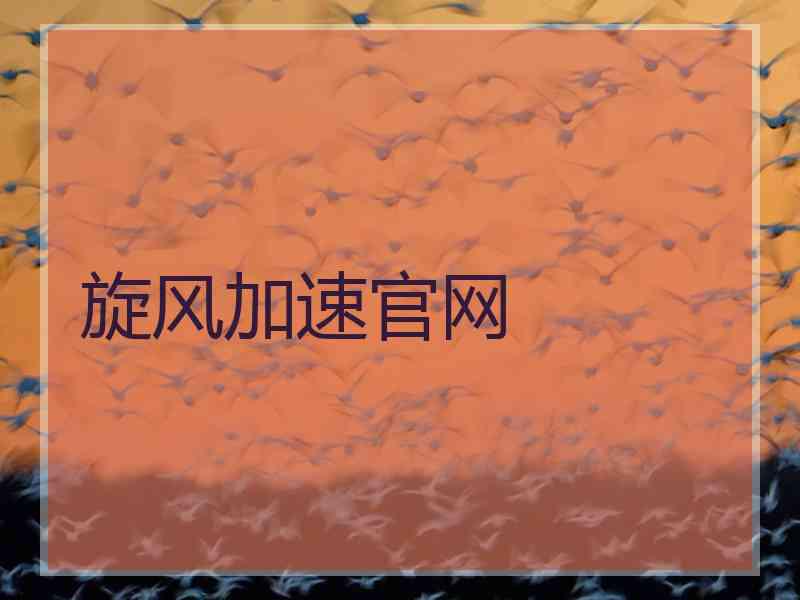 旋风加速官网