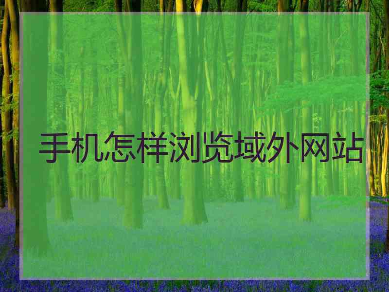 手机怎样浏览域外网站