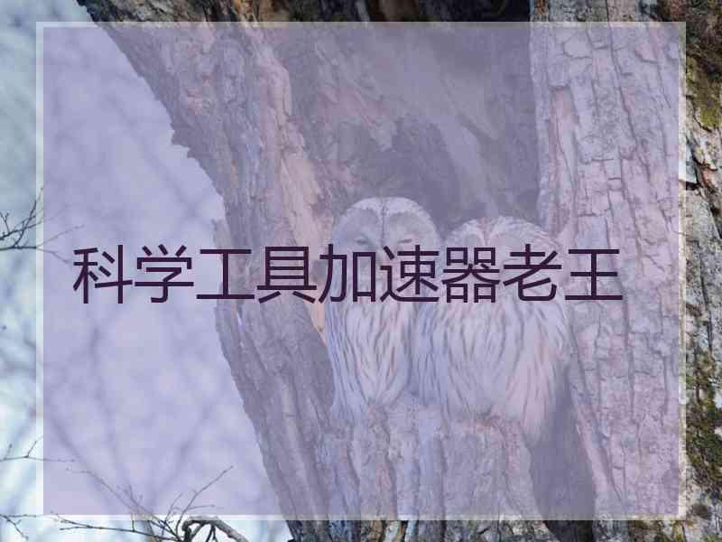 科学工具加速器老王