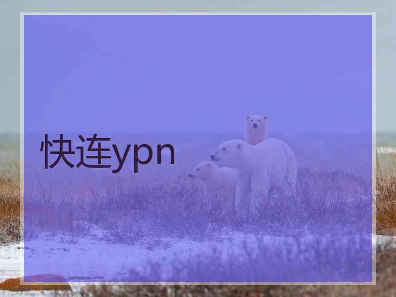 快连ypn