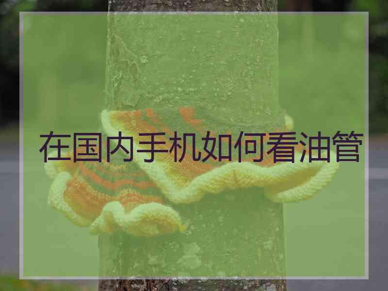 在国内手机如何看油管