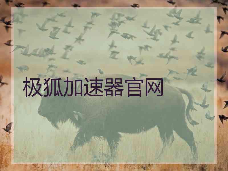 极狐加速器官网