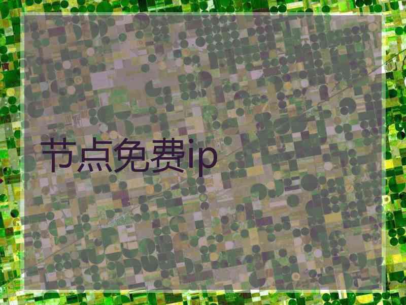节点免费ip
