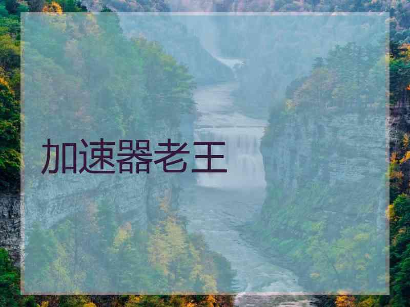 加速器老王