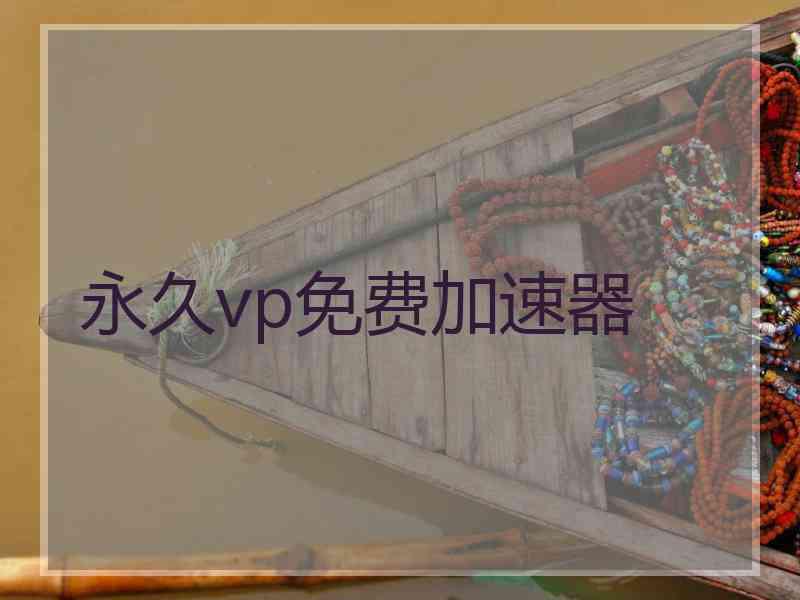 永久vp免费加速器