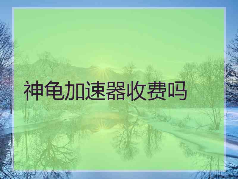 神龟加速器收费吗