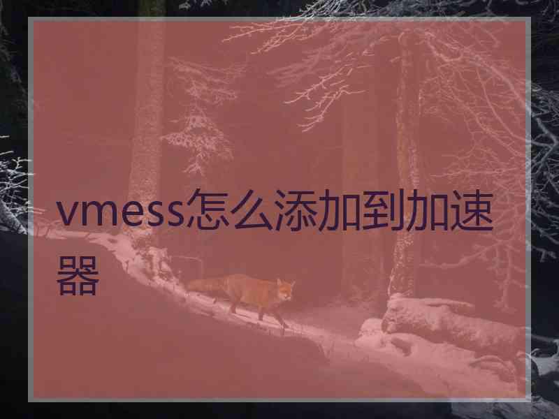 vmess怎么添加到加速器