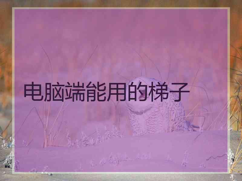 电脑端能用的梯子