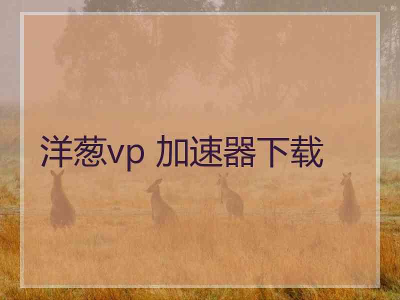 洋葱vp 加速器下载