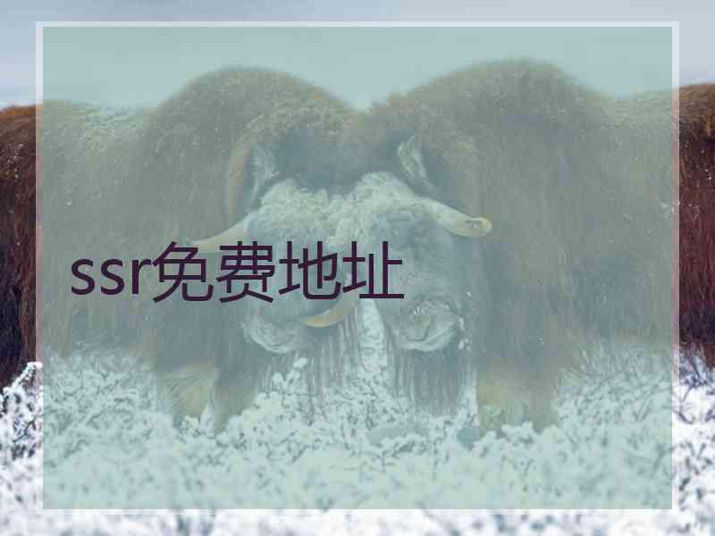 ssr免费地址