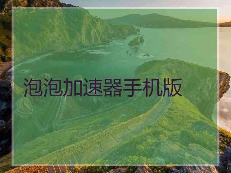泡泡加速器手机版