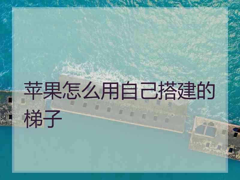 苹果怎么用自己搭建的梯子
