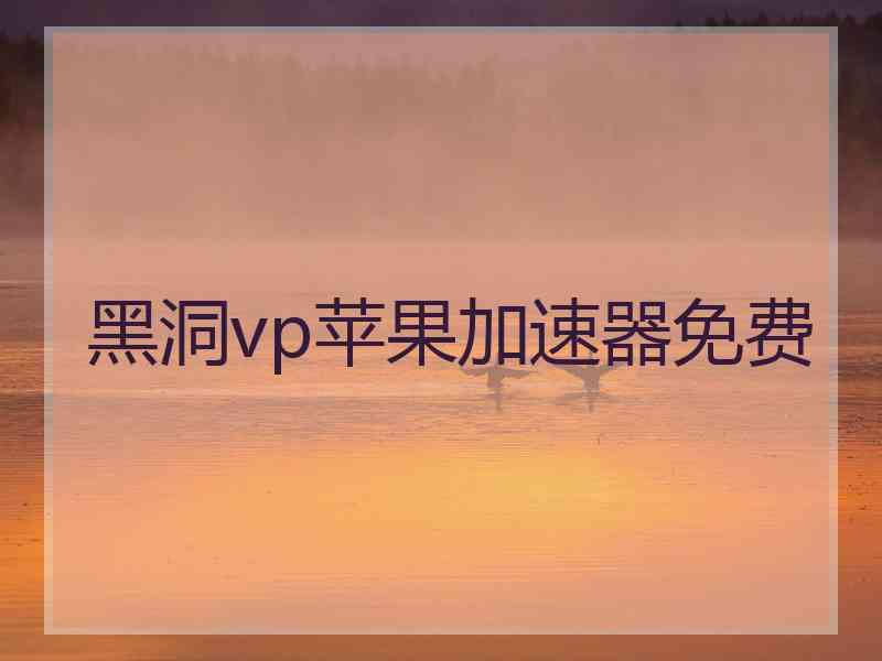 黑洞vp苹果加速器免费
